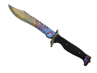 ★ Bowie Knife Case Hardened